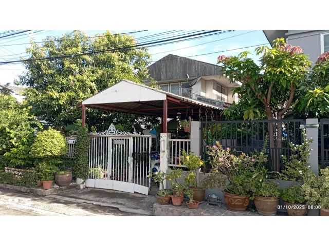 ขายบ้านเดี่ยวสองชั้น 50 ตรว มือสอง