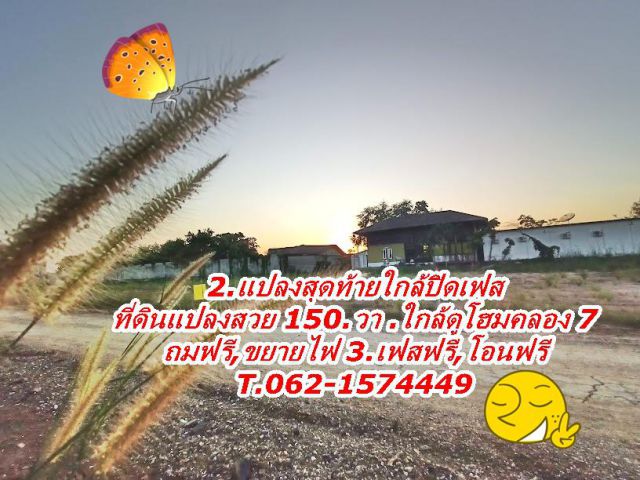 2.แปลงสุดท้ายใกล้หมดที่ดินทำเลทองใกล้ดูโฮมคลอง 7.ธัญบุรี.T.062-1574449
