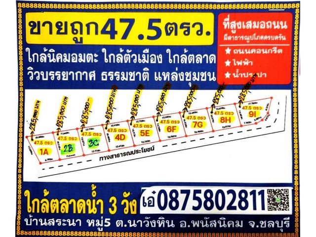 ขายที่ดิน 47.5ตรว เหมา2.85 แสน ใกล้ถนน331 ใกล้ ตลาดน้ำ3วัง ใกล้ตัวเมือง พนัส ใกล้อมตะ ที่ดินสูง แหล่งชุมชน