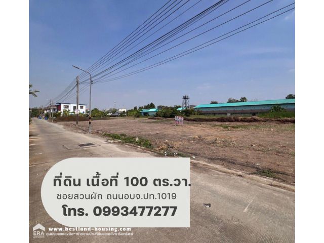 ขายที่ดินเปล่า 100 ตร.วา. ซอยสวนผัก ถนนอบจ.ปท.1019 ต.บางเดื่อ อ.เมือง ปทุมธานี เหมาะสำหรับปลูกบ้านหรือทำการเกษตร