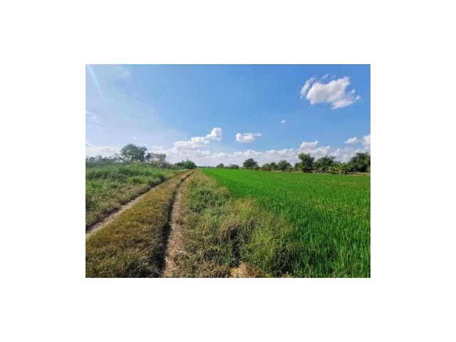 ที่ดินไมตรีจิต2งาน-2ไร่​ ตรว.ละ6900