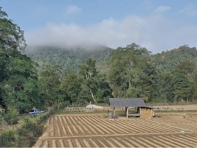 ขายที่ดินเชียงดาววิวดอยหลวงห่างจุดต่อไฟฟ้า 300เมตร พร้อมโอน