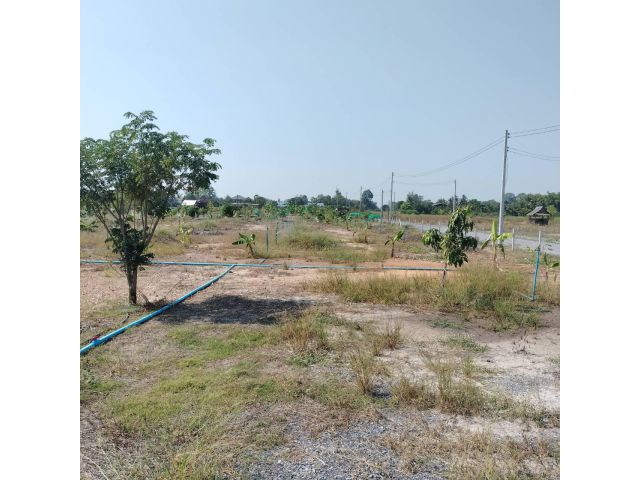 ขายที่ดินโฉนด  พร้อมบ้าน นส.4 จ. บางอ้อ อ.บ้านนา จ.นครนายก