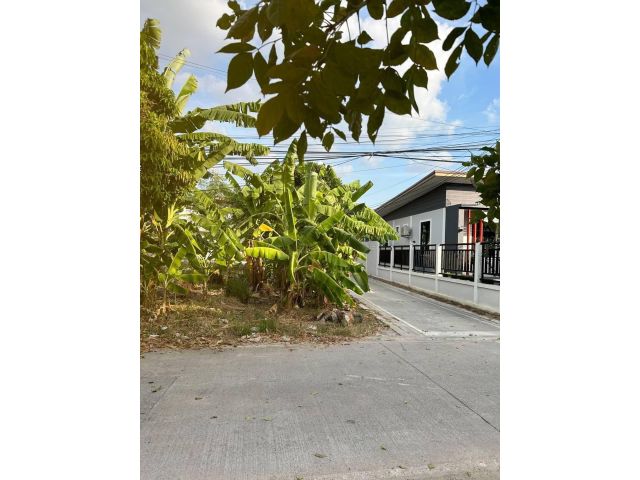 ที่ดินใกล้ถนนสุขุมวิทบางพระ 84ตรว. 2.8 ล้าน ต.เหมือง อ.เมือง จ.ชลบุรี - ที่ดินแปลงสวยติดถนนสาธารณะ3ด้าน หน้ากว้างติดถนนประมาณ 15 เมตร