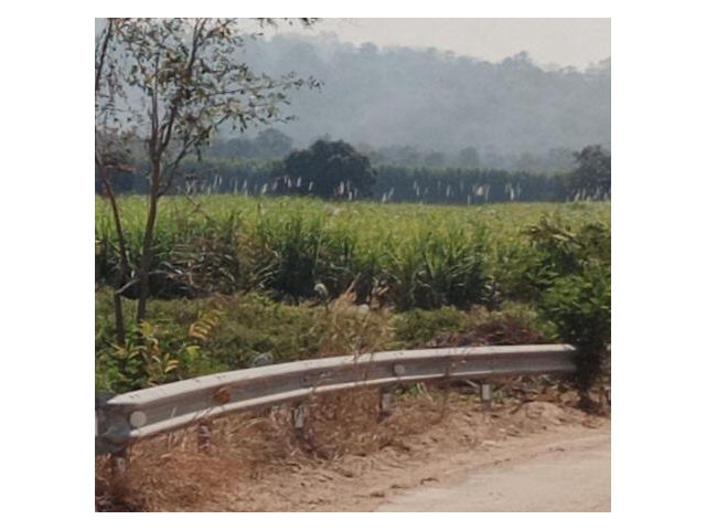 ขายที่ดินด่วน 14 ไร่ อำเภอตาพระยา สระแก้ว