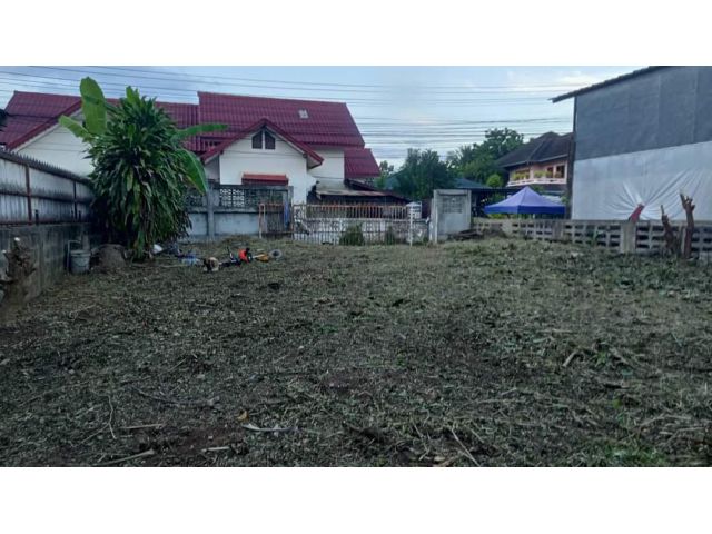 ขายที่ดินตำบลหนองหอยหลังตลาดหนองหอยโฉนดพร้อมโอน