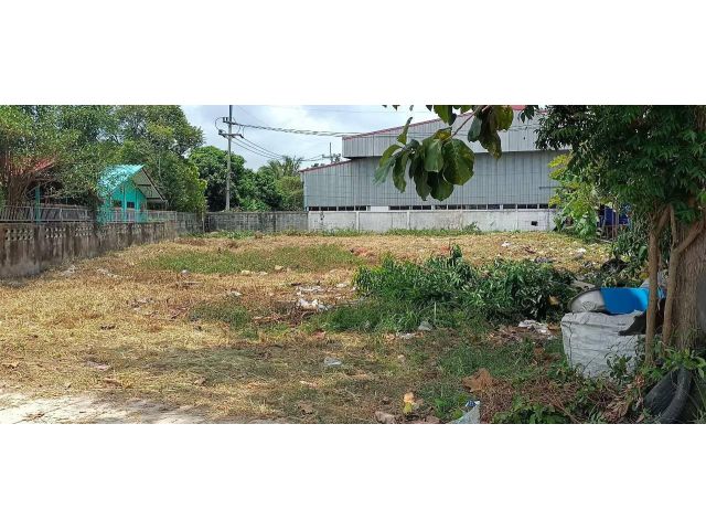 ขายที่ดิน 240 ตรว ต.บึง ศรีราชา ชลบุรี