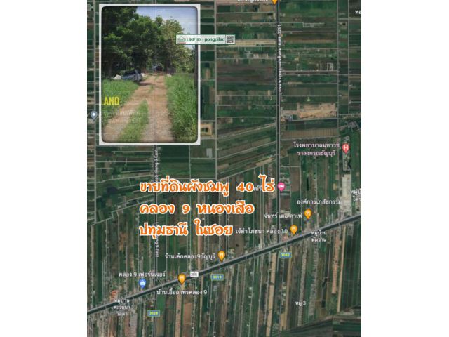 ขายที่ดินผังชมพู 40 ไร่ คลอง 9 หนองเสือ ไร่ละ 750,000 บาท ในซอย
