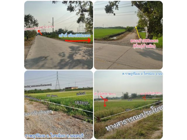 ที่ดินถูก อ.ไทรน้อย ต.ราษฎร์นิยม จ.นนทบุรี 181.9ตรว.