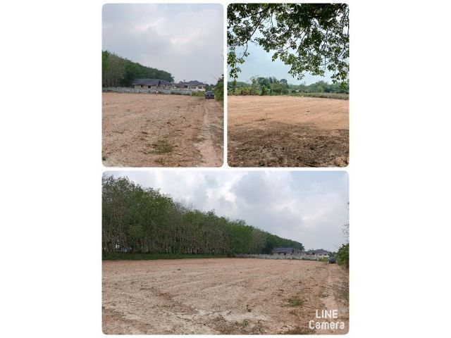 ขายที่ดิน 240ตรว. ซอย8สาย13