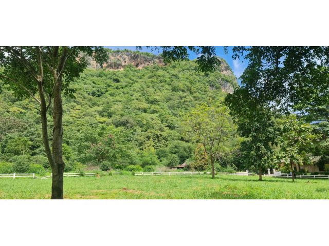ขายที่เขาใหญ่ ถนนธนะรัชต์ หมูสี 3ไร่ โครงการคาซ่า casa khaoyai ใกล้เทมส์วัลเลย์ ใกล้อุทยานแห่งชาติเขาใหญ่ วิวเขาสวยมาก เ