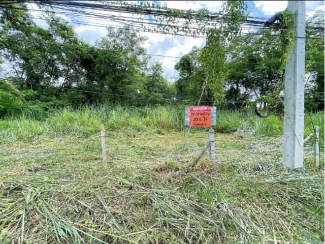 ที่ 20-1-80.6 ติดถนนใหญ่ ย่านรวมโชค