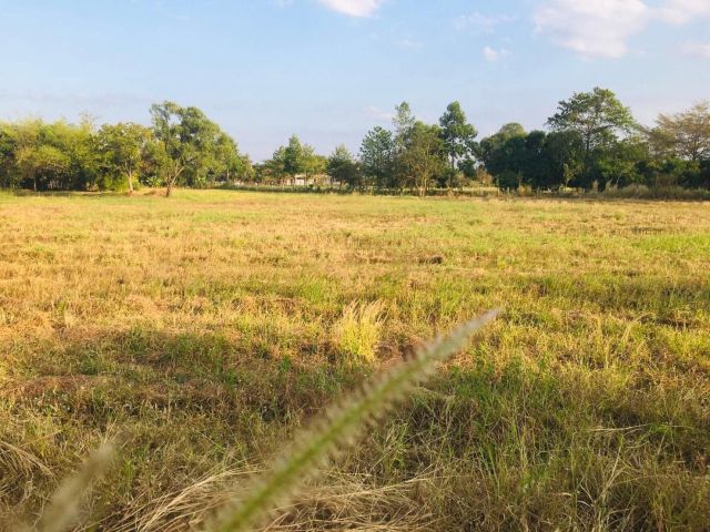 ขายที่ดินสวย 2ไร่ ️ ทางคอนกรีต พานทองอมตะ