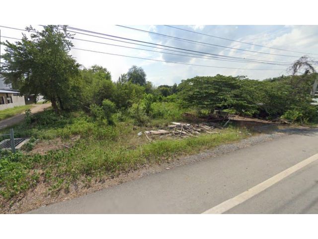 ขาย ที่ดิน 288 ตรว. ติด ถ. เลียบคลอง 11 ฝั่งตะวันตก หนองเสือ ปทุมธานี ใกล้เส้นทางหลวงปทุมธานี-อยุธยา