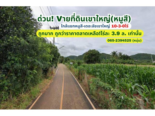 Vายด่วน! ถูกมาก ถูกกว่าราคาตลาด! ที่ดินโฉนดเขาใหญ่-ปากช่อง (หมูสี) เหมาะทำรีสอร์ท บ้านพัก คาเฟ่ โครงการจัดสรร