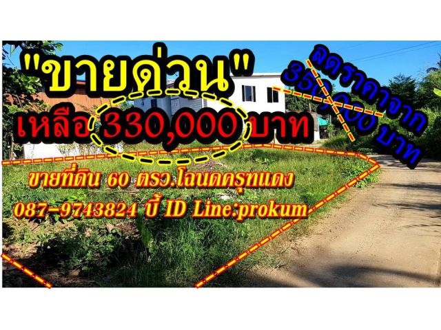 ขายที่ 60 ตรว.ในชุมชนต.บ้านโตก 330,000