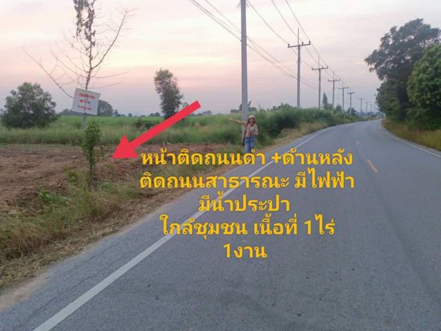 ขายที่ดินด่วน