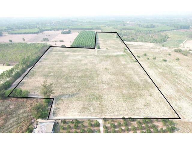 ขายที่ดิน 52 ไร่ หนองเหียง พนัสนิคม ติดคอนกรีต รถใหญ่เข้าออกสะดวก เหมาะทำโรงงาน ใกล้ถนน 331 จ.ชลบุรี