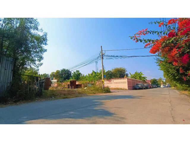ขายที่ดิน50ตร.ว.จตุโชติ10