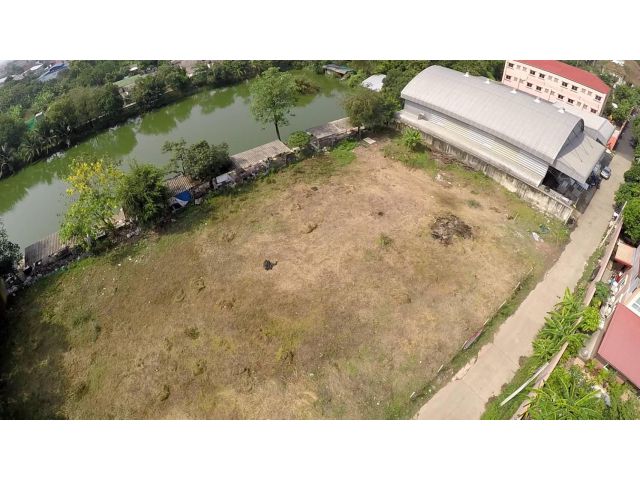 ขายที่ดิน 516 ตรว ซอยโพธิ์แก้ว 3 แยก 9 ตรวละ 59,000 บาท Land for Sale : Soi Pho Kaew 3 For Sale : 30,444,000 THB