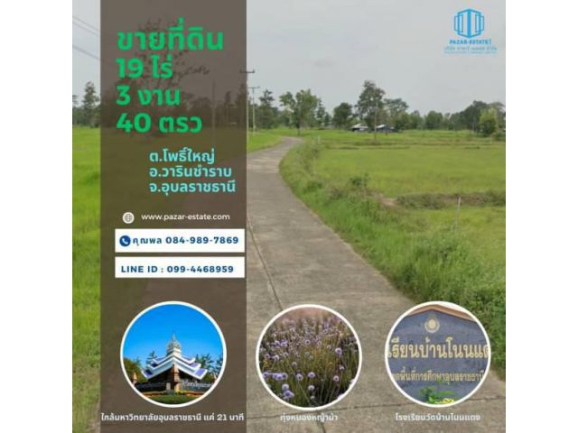 ขายที่ดิน 19 ไร่ 3 งาน 40 ตรว ติดถนนบ้านสร้างขุนศรี-บ้านไร่ เดินทางสะดวก ต.โพธิ์ใหญ่ อ.วารินชำราบ จ.อุบลราชธานี