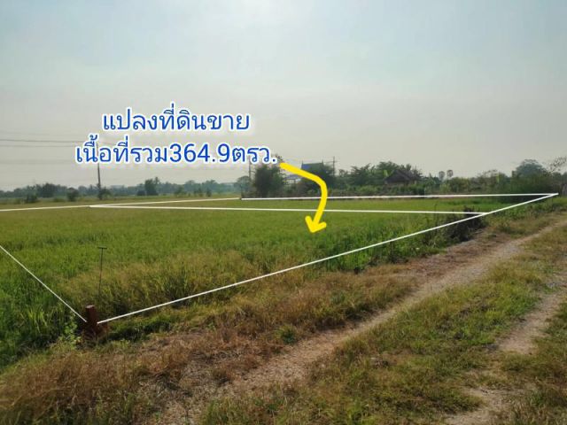 ที่ดินที่นา ราคาถูก ใกล้วัดราษฎร์นิยม อ.ไทรน้อย นนทบุรี เนื้อที่รวม364.9ตรว.