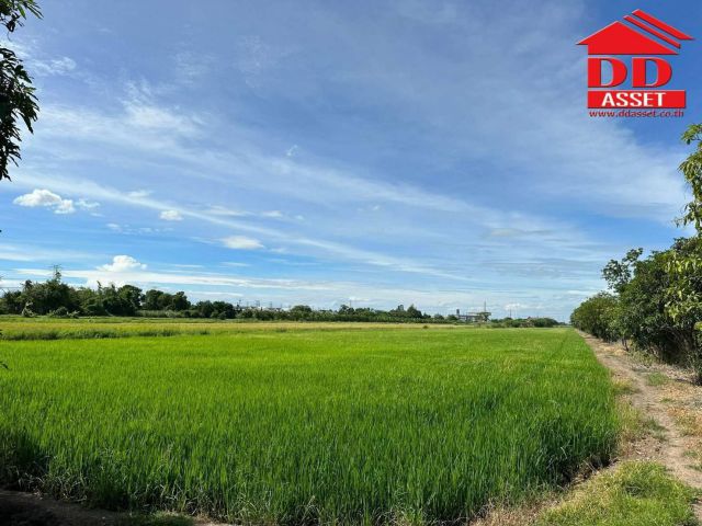 ขายที่ดินติดถนน บางกรวย-ไทรน้อย นนทบุรี
