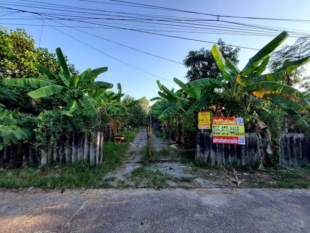 ขายถูกที่สุดที่ดินลำลูกกา คลองแปด 2 ไร่ติดถนนคอนกรีต ถมแล้วบางส่วนบ้านสวนพิเชษฐ์095-879-4465