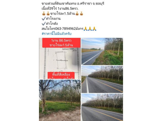 ขายด่วนที่ดินเขาคันทรง อ.ศรีราชา จ.ชลบุรี เนื้อที่39ไร่ 1งาน86.5ตรว. ขายไร่ละ1.5ล้าน