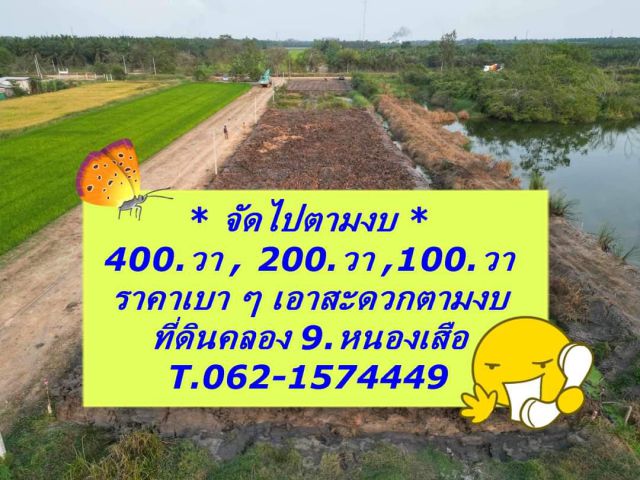 แปลงเล็กแปลงใหญ่แบ่งได้ตามงบที่คลอง 9.หนองเสือ T.062-1574449