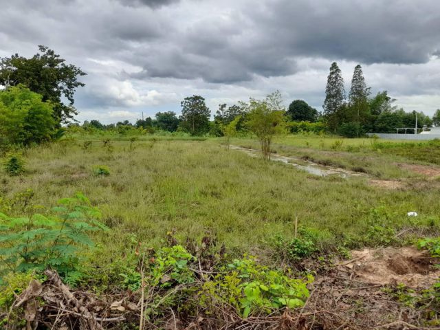 สด-ผ่อนไม่มีดอก.ขายที่ดินโฉนด2ไร่กว่า.เหมาะทำสวน.ขายไร่ละ185,000..โทร062-3034856