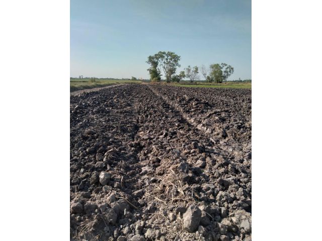 ผ่อนได้ไม่มีดอก.ขายที่ดินสวย4ไร่กว่า.เหมาะทำโคกหนองนา.การเกษตร.ดินดีมากขายไร่ละ150,000..โทร062-3034856.