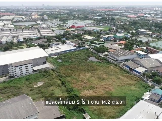 R624-044ขายที่ดินเปล่า พื้นที่สีม่วง ขนาด 5ไร่1งาน14ตรว.ทำเลดีห่างถนนแพรกษาเพียง 600เมตร สามารลัดเลาะออกได้หลายทาง ทั้งเทพารักษ์ หรือศรีนครินทร์