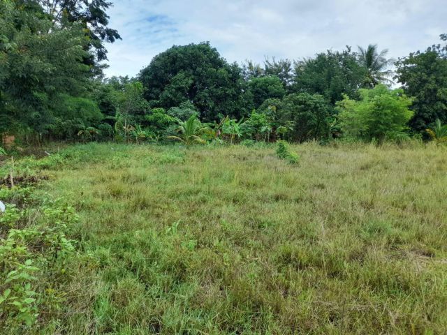 ผ่อนได้.ขายที่ดินโฉนด1ไร่กว่า.เหมาะทำบ้านสวน.ดินดีมากขายไร่ละ180,000..โทร062-3034856