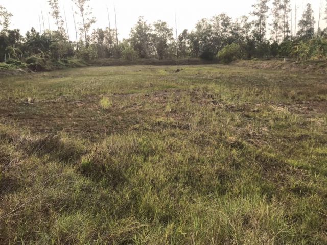 สด-ผ่อน.ขายที่ดินโฉนด2ไร่กว่า.เหมาะปลูกต้นไม้.ขายไร่ละ185,000โทร062-3034856.