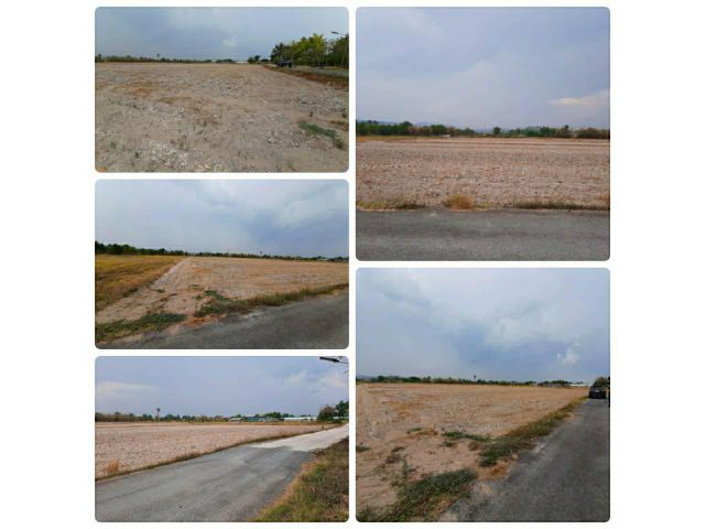 ขายที่ดิน 14ไร่ 1งาน ต.สาริกา อ.เมือง นครนายก  ถนนเข้าถึง...ใกล้อุทยานพระพิฆเนศ  เจ้าของขายเอง ราคาต่อรองได้
