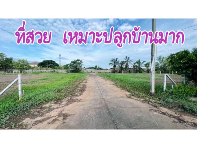 ที่ดินแปลงสวย ทวีวัฒนา