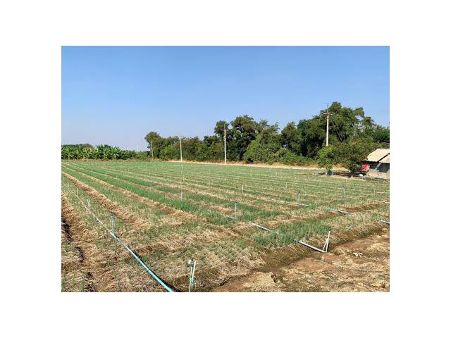ขายที่ดินเนื้อที่10ไร่ ใกล้มอเตอร์เวย์ เข้าออกได้หลายทาง เหมาะทำการเกษตร,ทำจัดสรรหรืออื่นๆ