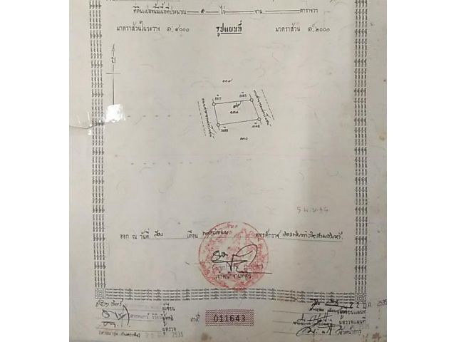 ขายที่ดิน 1 ไร่