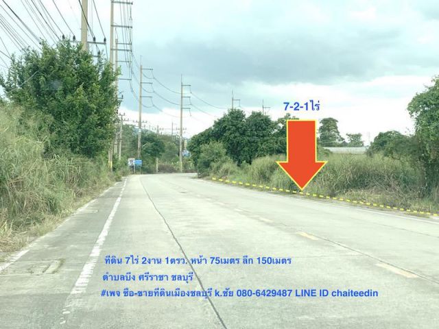 @@@ขายที่ดินพื้นที่สีม่วง เนื้อที่ 7-2-1ไร่ ตำบลบึง ศรีราชา ชลบุรี ใกล้นิคมปิ่นทอง ใกล้ตลาดบึงวรกิจ ที่ดินเหมาะพัฒนาอุตสาหกรรม โกดัง-โรงงาน@@@