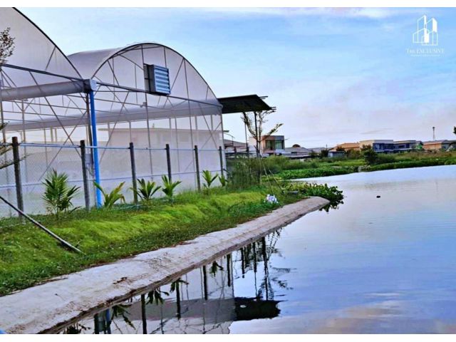 (HL)L84746 - ที่ดินพร้อมโรงงาน มีใบอนุญาต ร.ง. อ.ลาดหลุมแก้ว จ.ปทุมธานี