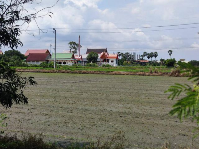 (HL)L83135 - ที่ดินเปล่า 6 -1-84.4 ไร่ ซอยคลองหกตะวันตก 47-2(บุญเพ็ชร) ถนนทางหลวงชนบท ปท.4001 ตำบลคลองหก อำเภอคลองหลวง จังหวัดปทุมธานี