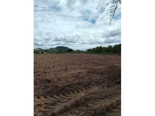 ผ่อนได้ไม่มีดอก.โฉนด2ไร่เหมาะทำสวน.ดินดีมาก.ขายไร่ละ180,000.โทร062-3034856