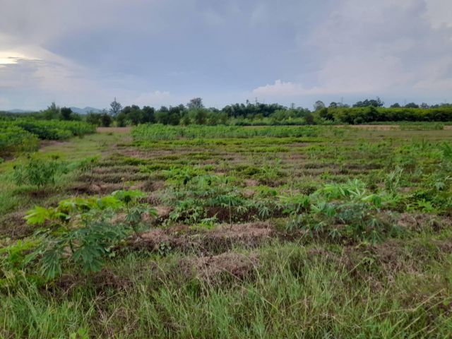 สด-ผ่อน..ขายที่ดินโฉนด4ไร่กว่าเหมาะทำการเกษตร.ดินดีมาก.ขายไร่ละ170,000..โทร062-3034856