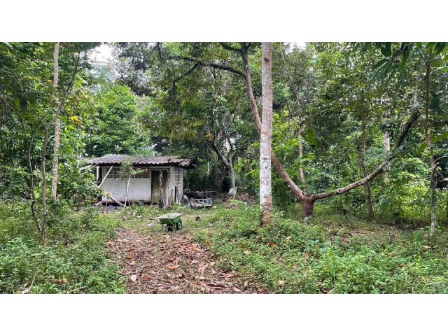 ขายที่ดิน อ.ท่าใหม่ 22 ไร่ 2 งาน 15 ตารางวา 土地出售 泰国尖竹汶府