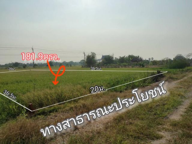 ที่ดินไทรน้อย ราษฎร์นิยม นนทบุรี 181.9ตรว.