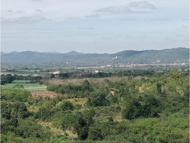 ขายที่ดินโฉนด เนินสูง วิวสวย 113 ไร่ โป่งตารอง