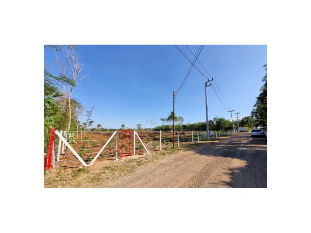 ขายทีดิน ปากช่อง เขาใหญ่ 4 ไร่ 3 งาน 8 ตรว. ที่ดินเป็นโฉนดถูกต้อง