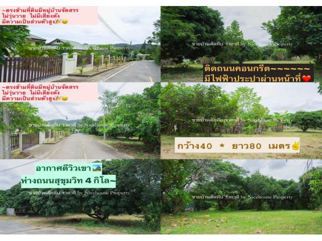 ที่ดินวิวภูเขา อากาศดี ซ.เทศบาล99สัตหีบ จ.ชลบุรี