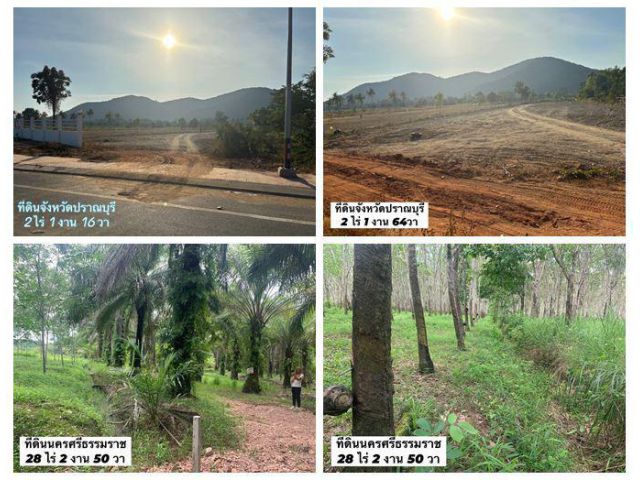 ขายที่ดิน 2ไร่ อ.ปราณบุรี จ.ประจวบฯ และที่ดิน 28ไร่ อ.ช้างกลาง จ.นครศรีธรรมราช ราคาดี เจ้าของขายเอง โทร 081-3403006
